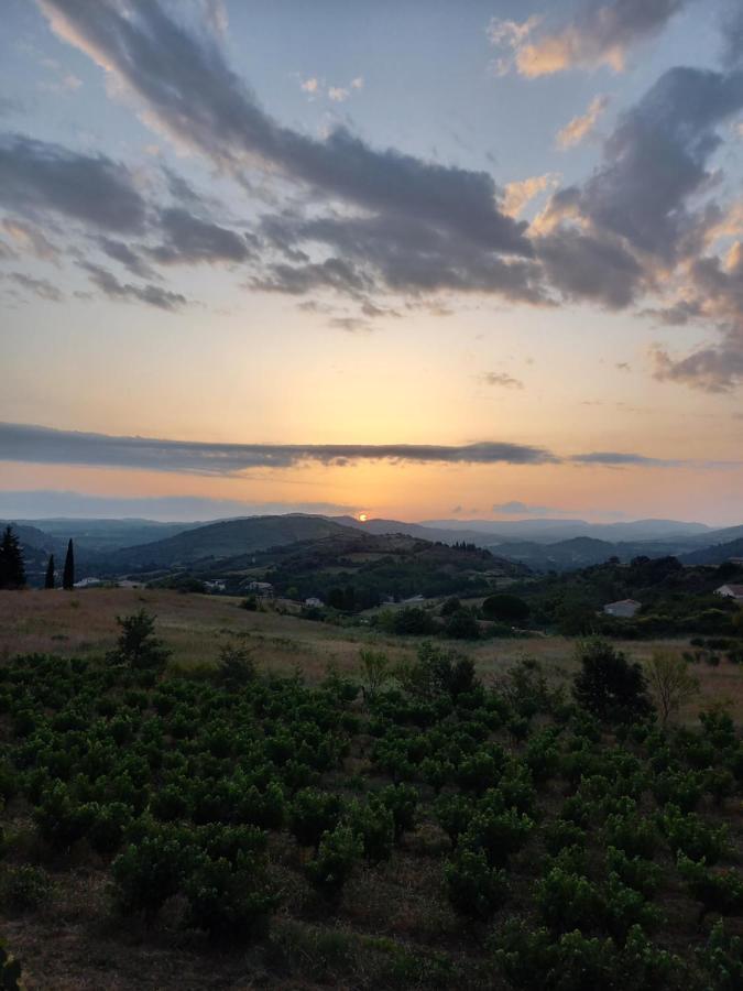 Gite Vigneron Du Domaine D'Alon Magrie Εξωτερικό φωτογραφία