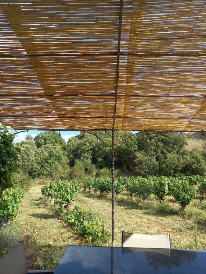 Gite Vigneron Du Domaine D'Alon Magrie Εξωτερικό φωτογραφία