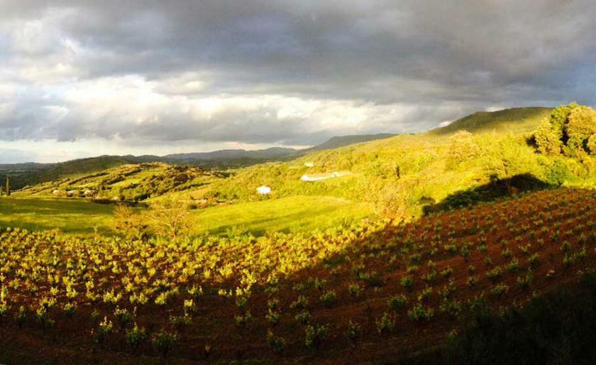 Gite Vigneron Du Domaine D'Alon Magrie Εξωτερικό φωτογραφία