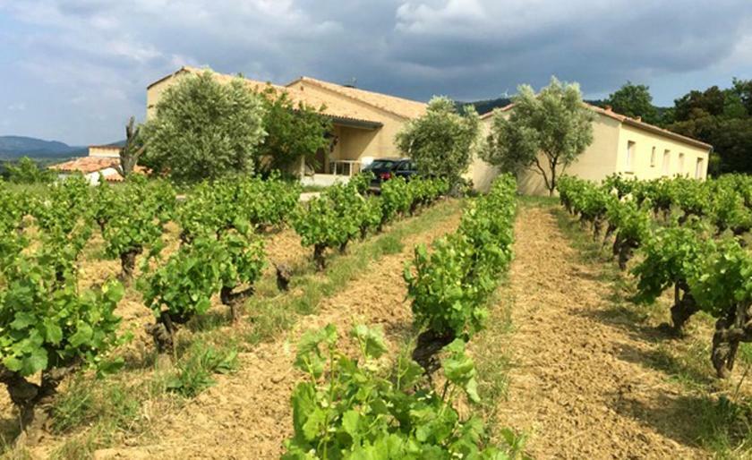 Gite Vigneron Du Domaine D'Alon Magrie Εξωτερικό φωτογραφία