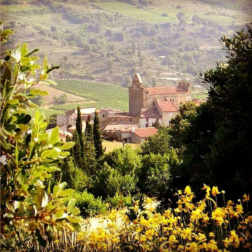 Gite Vigneron Du Domaine D'Alon Magrie Εξωτερικό φωτογραφία