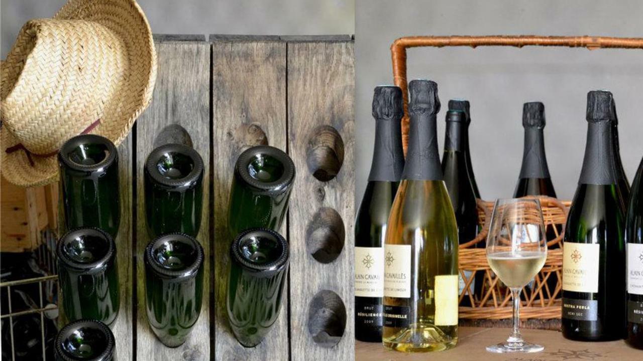 Gite Vigneron Du Domaine D'Alon Magrie Εξωτερικό φωτογραφία