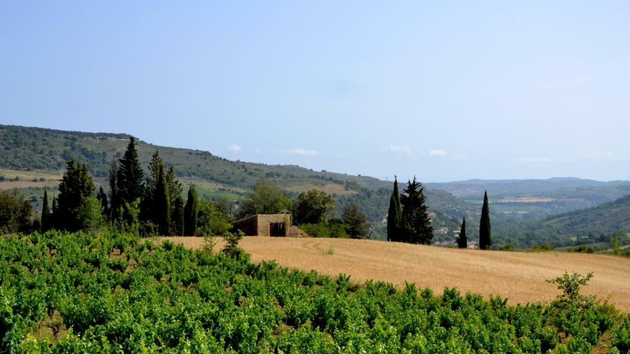 Gite Vigneron Du Domaine D'Alon Magrie Εξωτερικό φωτογραφία