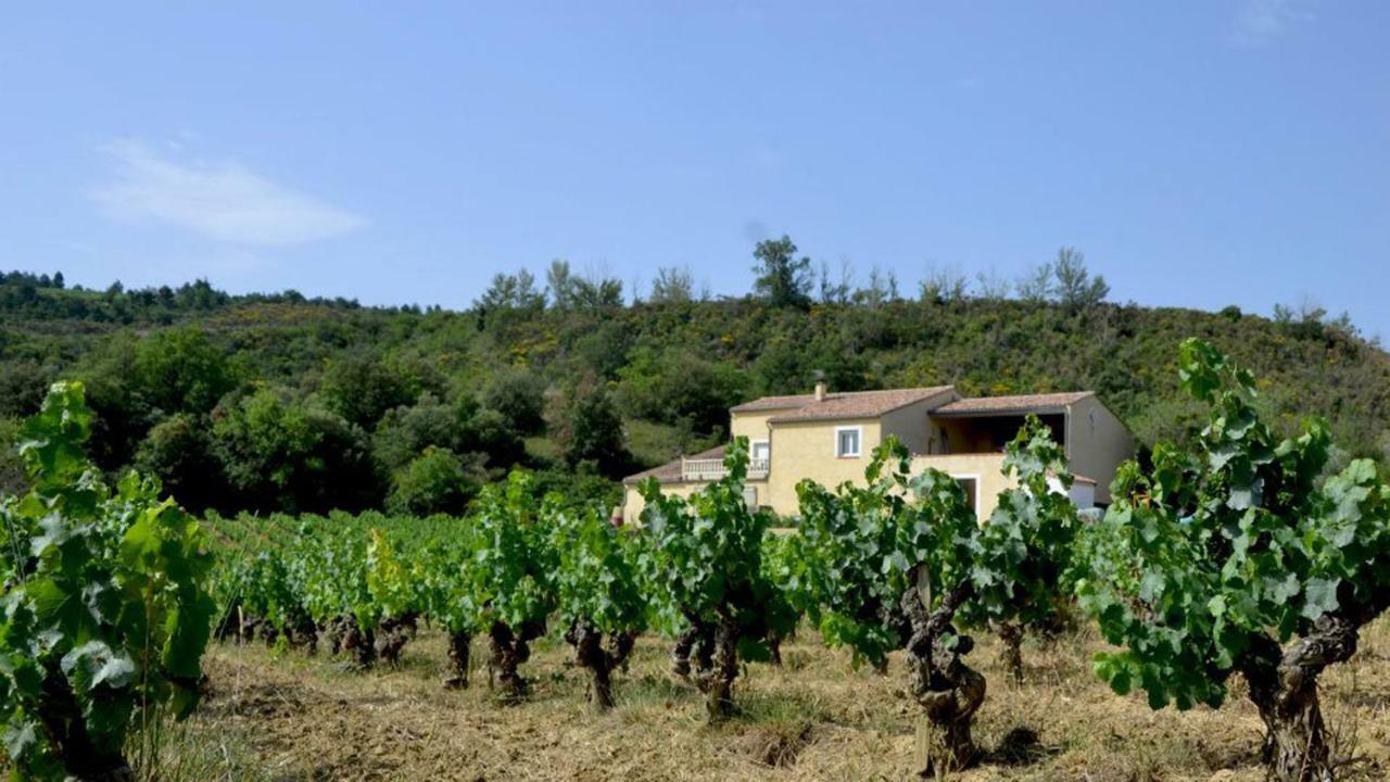 Gite Vigneron Du Domaine D'Alon Magrie Εξωτερικό φωτογραφία