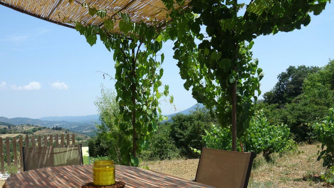 Gite Vigneron Du Domaine D'Alon Magrie Εξωτερικό φωτογραφία