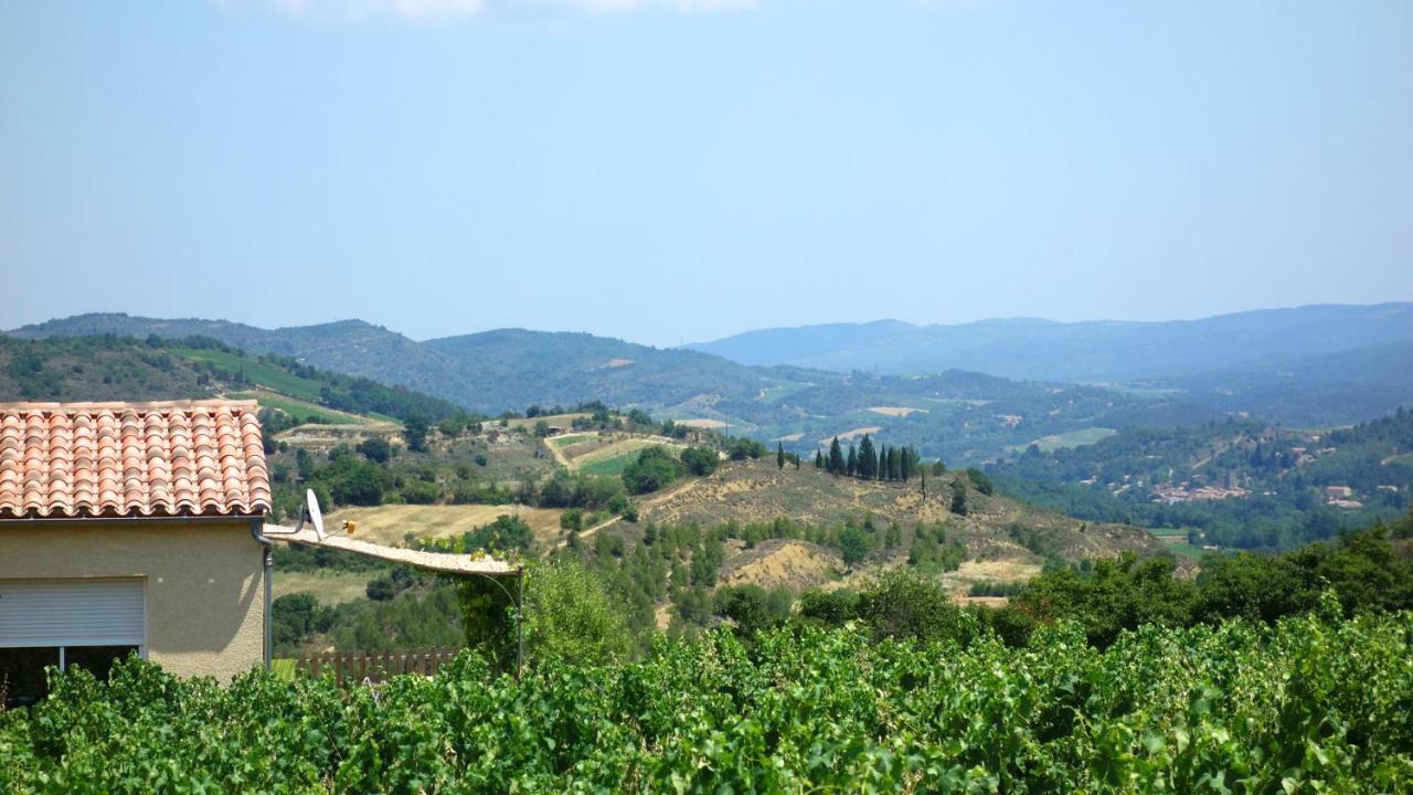 Gite Vigneron Du Domaine D'Alon Magrie Εξωτερικό φωτογραφία